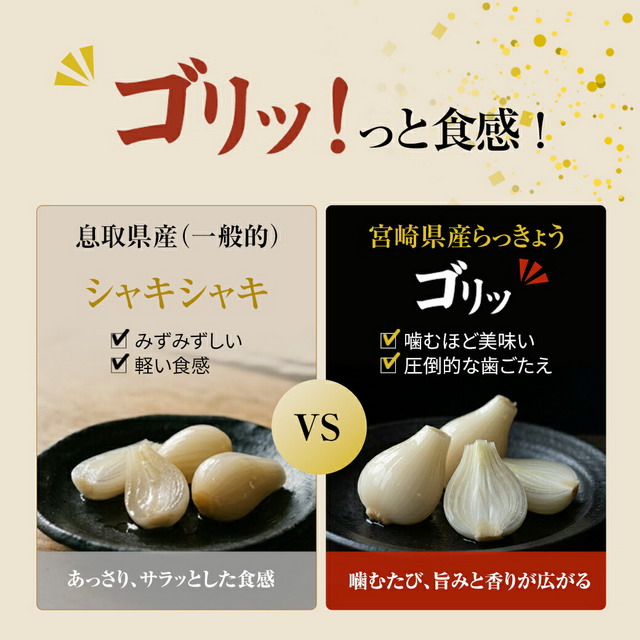 宮崎産 らっきょう ピリ辛 80g×3袋 国産 ご飯のお供 酒の肴