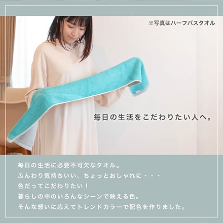 ハーフ バスタオル 4枚 セット 今治 タオル DAILY PRAIRIE リバーシブル C
