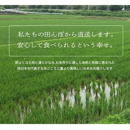 新米 三重県産 コシヒカリ 5kg 白米 令和6年産