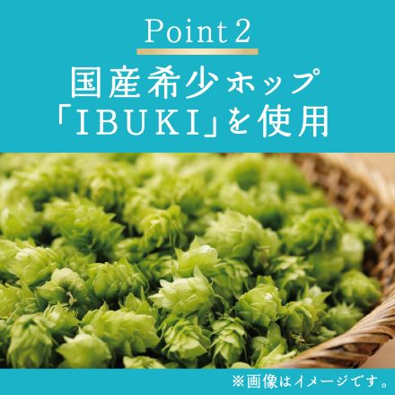 キリンビール 晴れ風 500ml 48本（24本×2ケース) 長S