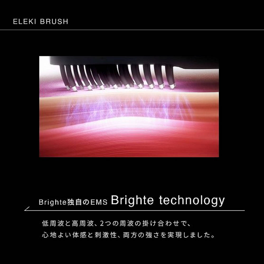 【正規品】 Brighte ブライト ブラシ型美顔器 エレキブラシ BRT-FS145