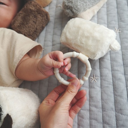 あまのっぽ もちふわブロック　ふわふわ プラス 森の新しいおともだち