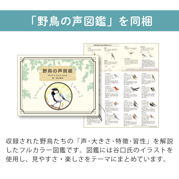 リズム 置時計 日本野鳥の会 四季の野鳥 めざまし時計401 8RM401SR03＆電池2本付き