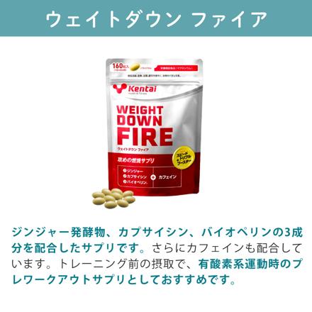 健康体力研究所 kentai ウェイトダウンソイ ココア風味 880g × 3袋 ウェイトダウンファイア シェイカー スポンジ 6点セット