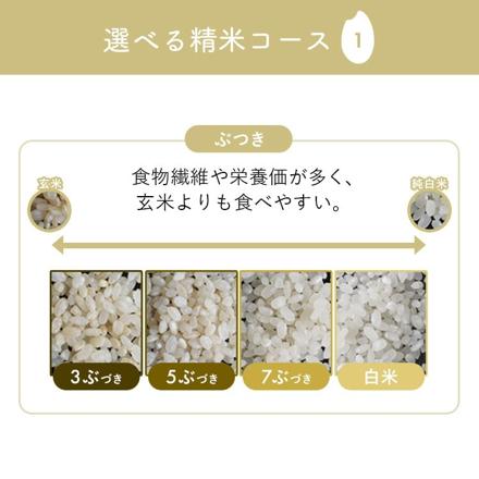 アイリスオーヤマ 米屋の旨み 銘柄純白づき精米機 RCI-C5-C ホワイト ＆ライスストッカー HB-3898＆ゆめぴりか玄米(300g)＆マイクロファイバークロス