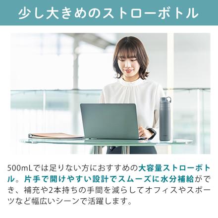 タイガー 真空断熱ボトル ストロータイプ MTS-W075AF フォグブルー 0.75L＆ボトル洗い＆中栓洗い＆ストローブラシ＆ボトル洗浄剤 5点セット