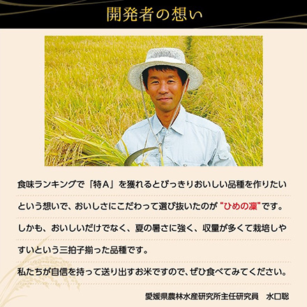 白米 愛媛県産 ひめの凜 900g 令和7年産