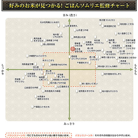 白米 岩手県産 金色の風 900g ( 300g×3袋 ) 令和7年産