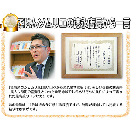 新米 白米 新潟魚沼産 コシヒカリ 900g 特A評価 令和6年産