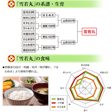 新米 白米 山形県産 雪若丸 900g 特A評価 令和6年産