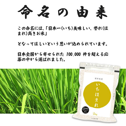 新米 白米 福井県産 いちほまれ 6kg 2kg×3袋 特A評価 令和6年産