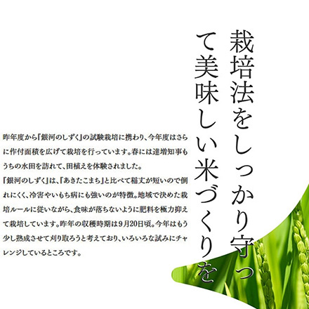 新米 白米 岩手県産 銀河のしずく 6kg 2kg×3袋 特A評価 令和6年産