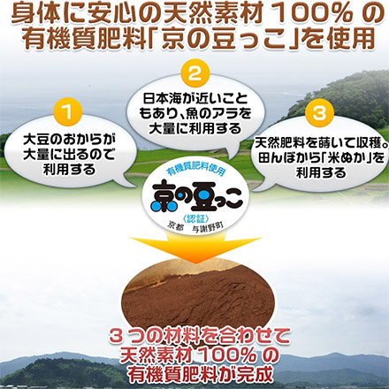 玄米 京都丹後与謝野町産 コシヒカリ 6kg 2kg×3袋 特別栽培米 令和6年産