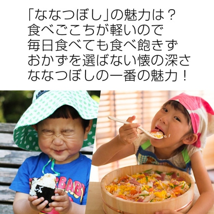 新米 玄米 北海道産 ななつぼし 10kg 2kg×5袋 特A評価 令和6年産