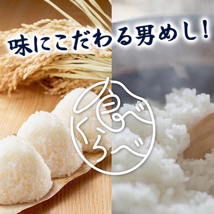 白米 父の日ギフト オコメール 銀シャリ3種食べ比べセット 300g(2合)×3種 真空パック 令和7年産 《限定ギフトカード付》