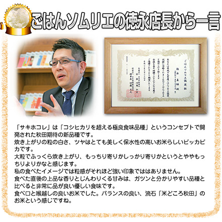 新米 白米 秋田県産 サキホコレ 6kg 2kg×3袋 特別栽培米 令和6年産