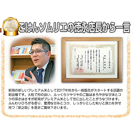 新米 白米 新潟県産 新之助 6kg 2kg×3袋 令和6年産