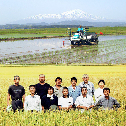 新米 玄米 山形県産 つや姫 6kg 2kg×3袋 特別栽培米 令和6年産