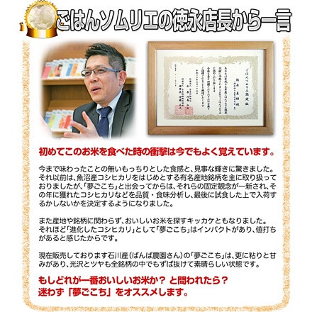 玄米 石川県産 夢ごこち 10kg 2kg×5袋 特別栽培米 令和5年産