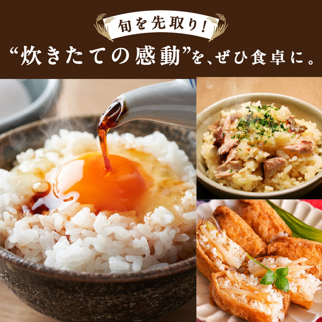 タマチャンショップ 宮崎産アキダワラ 精白米 10kg 令和7年産