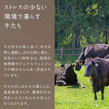 Dr.Beef 純日本産 グラスフェッドビーフ 黒毛和牛 リブロースステーキ 600g (150g×4枚)