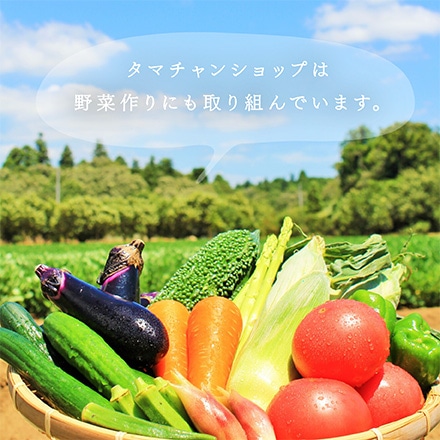 タマチャンショップ 九州野菜お試し詰め合わせセット 8品