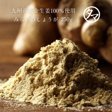 タマチャンショップ 生姜 粉末 みらいのしょうが 70ｇ