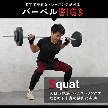 トレーニング/エクササイズ筋トレ　プレートセット(20kg×6,5kg×2,等)