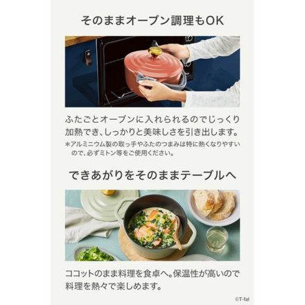 T-fal ティファール キャストライン エアココット IHココット鍋 20cm テラコッタ E26844