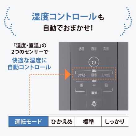 象印マホービン スチーム式加湿器 3.0L グレー EE-DF35-HA 加湿能力350mL/h