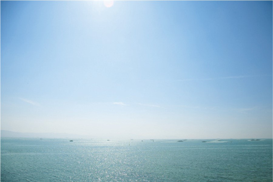 鍵鍵庄 一番摘み 明石のり 明石の風 味のり 8切48枚×6本