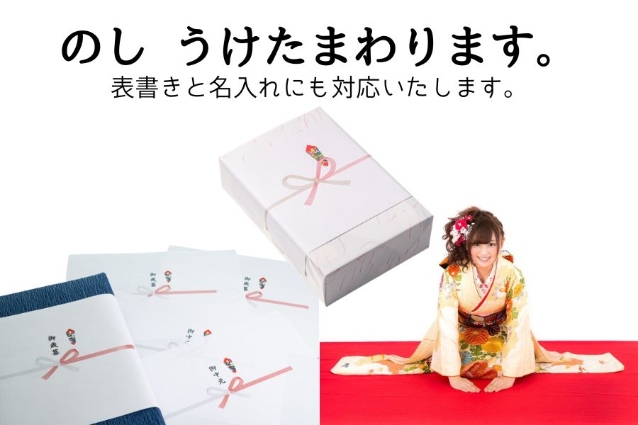 国産黒毛和牛 もつ鍋セット 3～4人前 贈答用包装