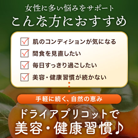 ドライアプリコット 400g 砂糖不使用 種抜き 肉厚