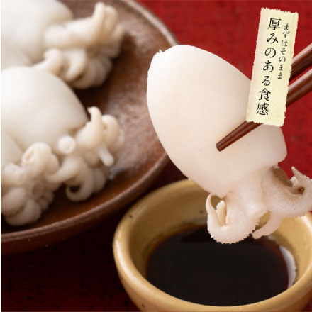 ボイル 甲イカ コウイカ