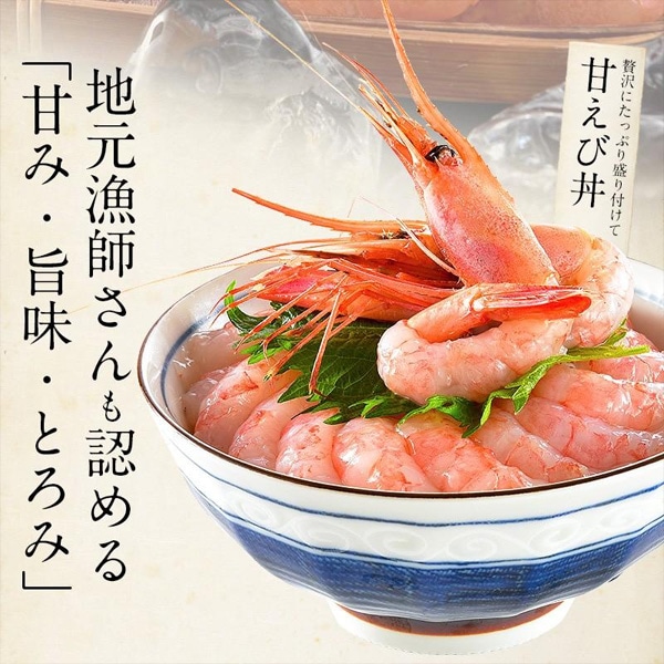 甘えび 子持ち 越前産 中サイズ1kg （約80尾入り）