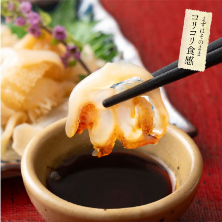 ミニクラゲ クラゲ 1kg