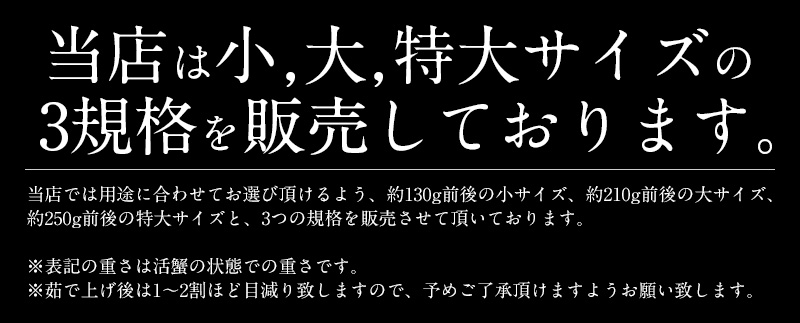 セイコガニ 小サイズ 5尾 越前 松葉