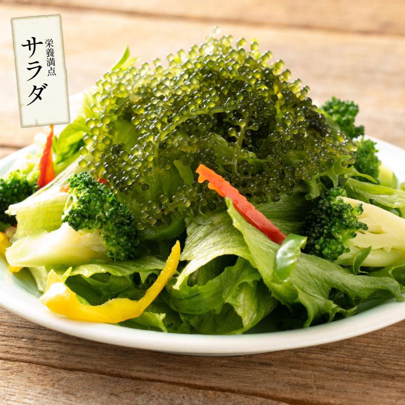 沖縄県産海ぶどう50ｇ×1袋