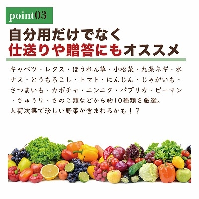 お任せ 野菜セット 約10種 旬のお野菜を楽しめる詰め合わせ