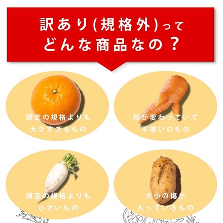 訳あり 食品 ロスヘル 野菜 果物 詰め合わせ セット 【合計7種類以上 約3-5kg 】規格外野菜 国産