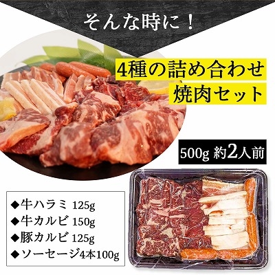 焼肉 BBQ セット 4種盛り 500g 約2人前 ハラミ カルビ ウィンナー