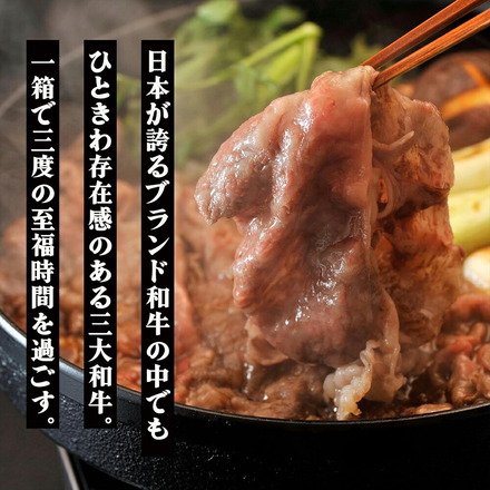 松阪牛 神戸牛 近江牛 三大和牛食べ比べ 600g
