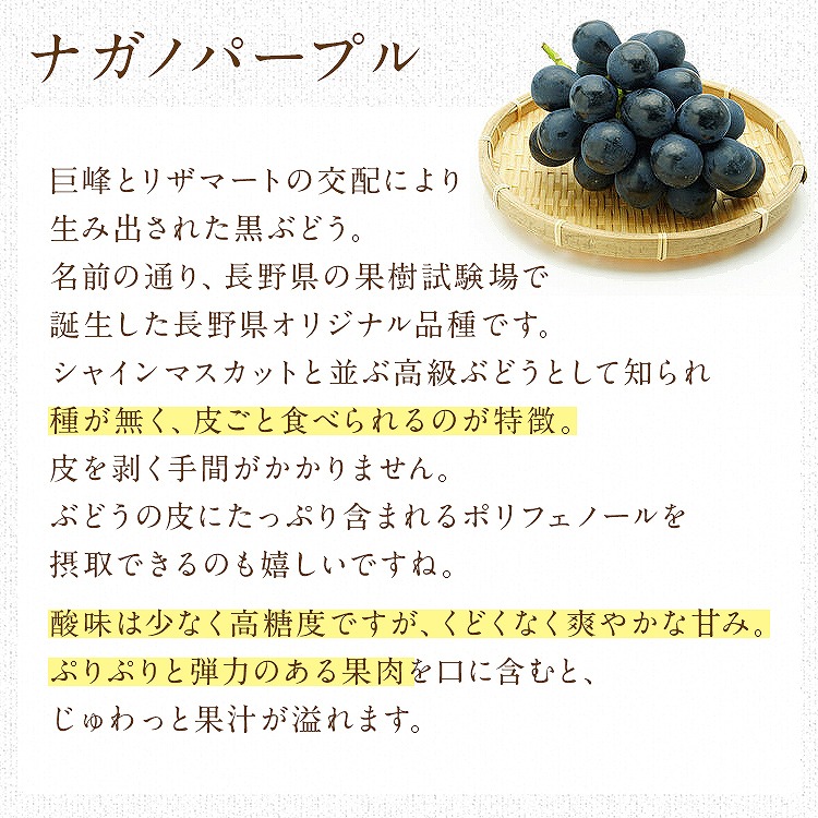 ぶどう ギフト 3種詰め合わせ 3房(1房×3種) 1.2kg シャインマスカット ナガノパープル ピオーネ 秀 産地厳選 贈答用 冷蔵便 同梱不可 指定日不可