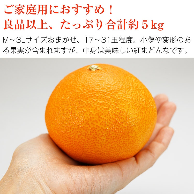 紅まどんな 5kg 愛媛県産 ご家庭用 17ー31玉程度 Mー3Lサイズおまかせ 良品以上 みかん JAえひめ中央 常温便 同梱不可 指定日不可 ミカン 蜜柑 柑橘