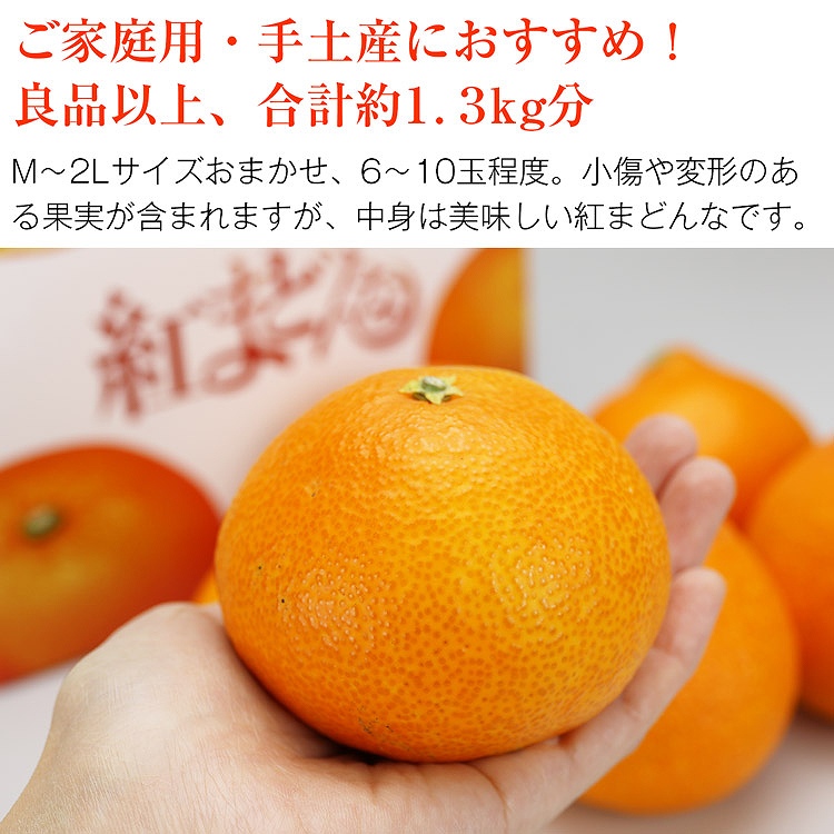 紅まどんな 1.3kg 愛媛県産 ご家庭用 手土産 6ー10玉程度 Mー2Lサイズおまかせ 良品以上 みかん JAえひめ中央 常温便 同梱不可 指定日不可 ミカン