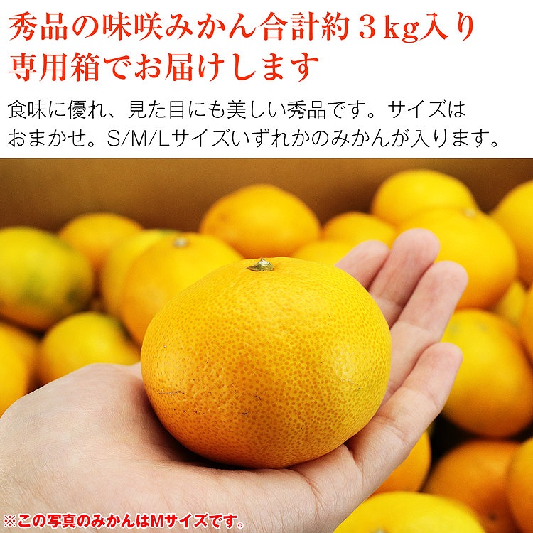 みかん 3kg 味咲みかん 品種おまかせ 秀品 熊本県産 植木町 早生 中生 晩生 蜜柑 ミカン 常温便 同梱不可 指定日不可