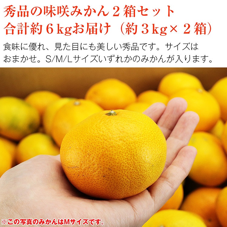 みかん 6kg (3kg×2箱) 味咲みかん 品種おまかせ 秀品 熊本県産 植木町 早生 中生 晩生 蜜柑 ミカン 常温便 同梱不可 指定日不可