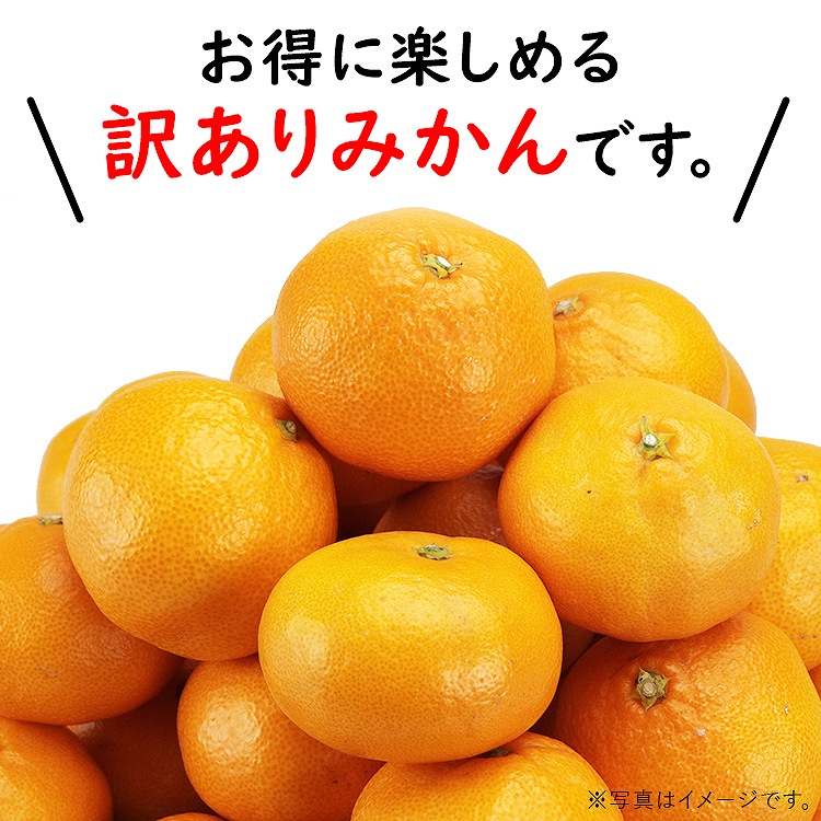 訳あり みかん 6.3kg (6kg+保証分300g程度) 3kgx2箱セット 和歌山県産 早生みかん 温州みかん ミカン 蜜柑 柑橘 わけあり 常温便 同梱不可 指定日不可