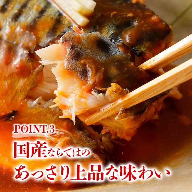 さば 骨取り 無塩 切り身 600g(30g×20切) 冷凍 骨なし 鯖 サバ