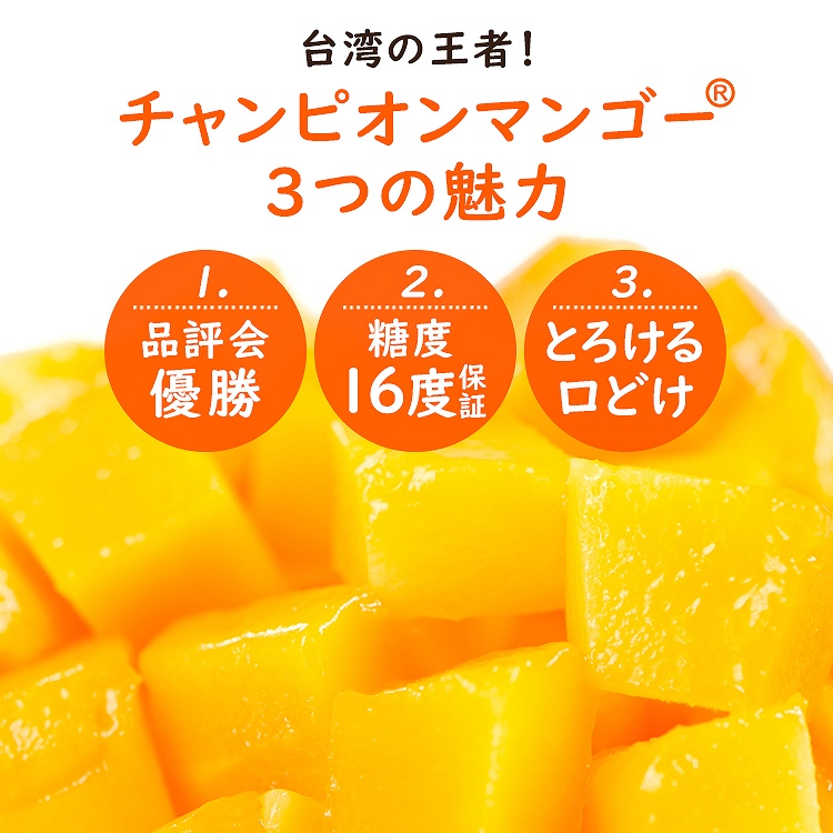マンゴー 1.2kg以上 (2ー3玉程度) 台湾産 ピントン産 台湾から直送 チャンピオンマンゴー 糖度16度以上 産直 同梱不可 指定日不可